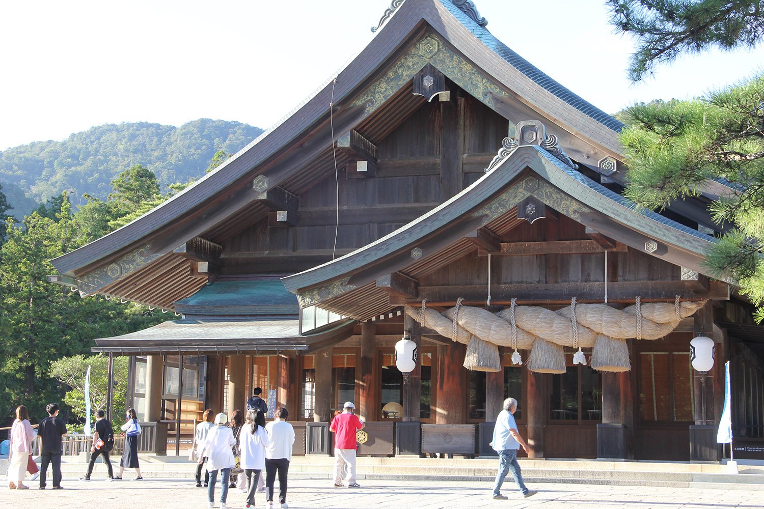 ⛩️ 이즈모타이샤 본전(고혼덴) 이미지 4